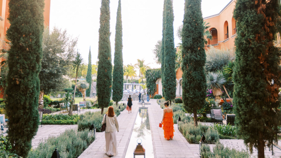 The Power of Color in Wedding Photography