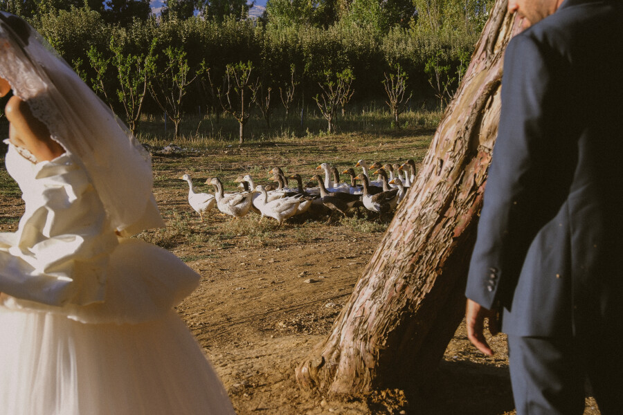 A Lush Fusion of Nature and Elegance in the Heart of the Lebanese Countryside