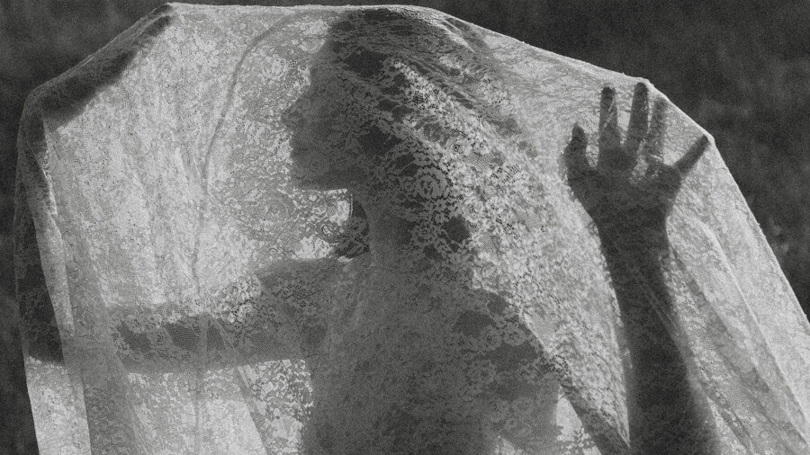 Laced in Light & Ivy