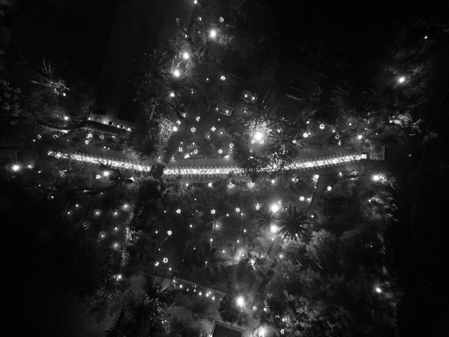 A Dreamy Marrakech Wedding in the Heart of a Lush Moroccan Garden