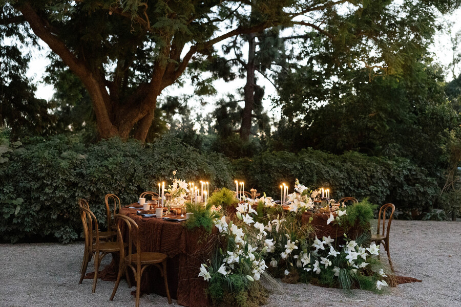 A Garden of Quiet Promises