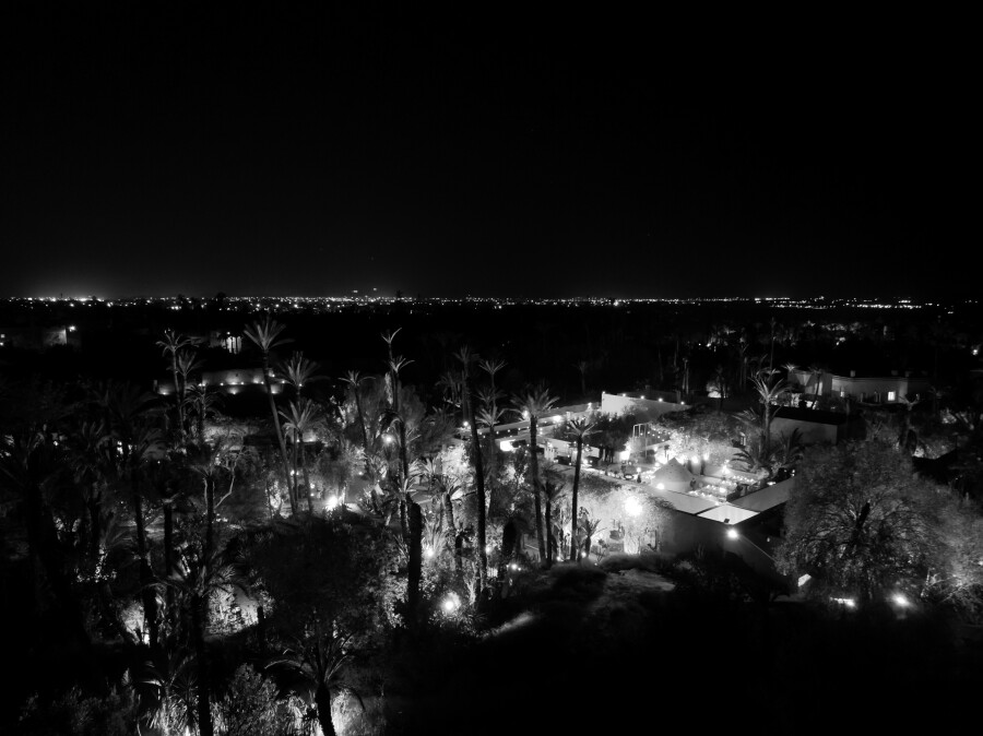 A Dreamy Marrakech Wedding in the Heart of a Lush Moroccan Garden