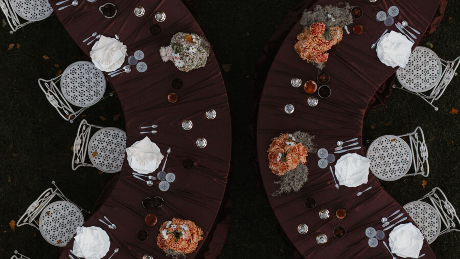 Of Roots and Feathers