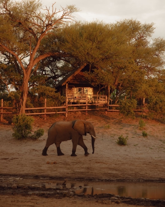 14 Luxury African Safari Lodges & Resorts for an Unforgettable Honeymoon
