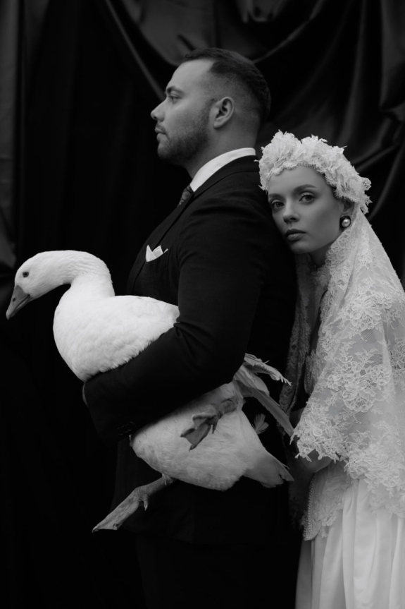 Of Roots and Feathers