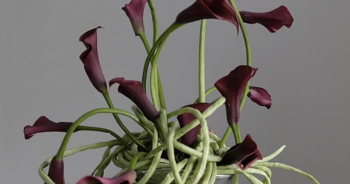Trend: Twisted Florals