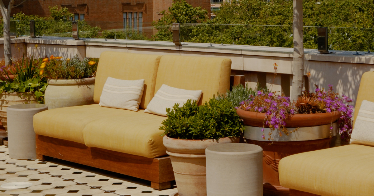 In Conversation: Hotel Borneta