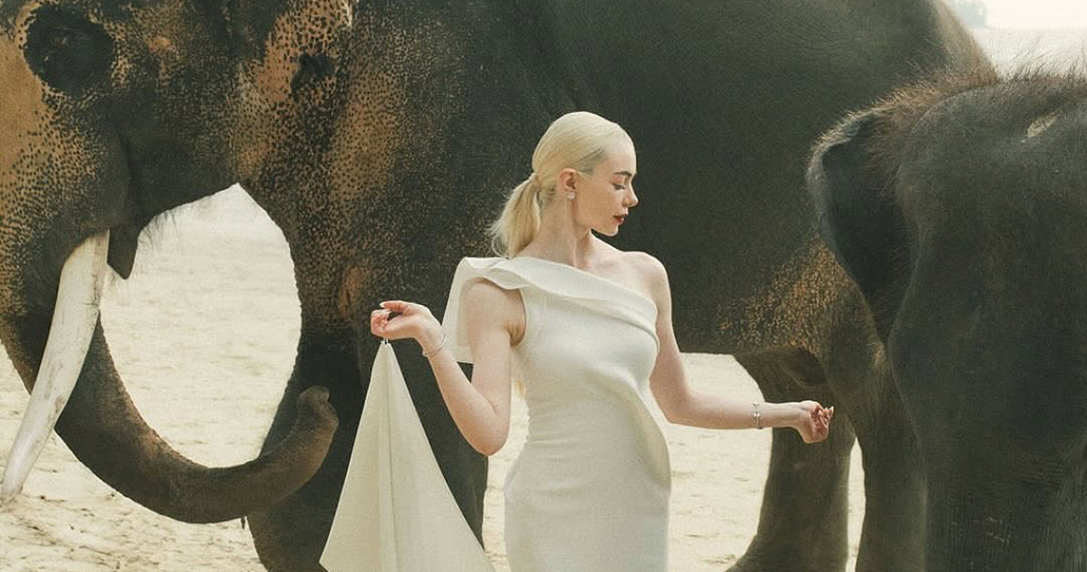 Paradise Calling: Why Thailand Is the Next Iconic Destination Wedding Setting