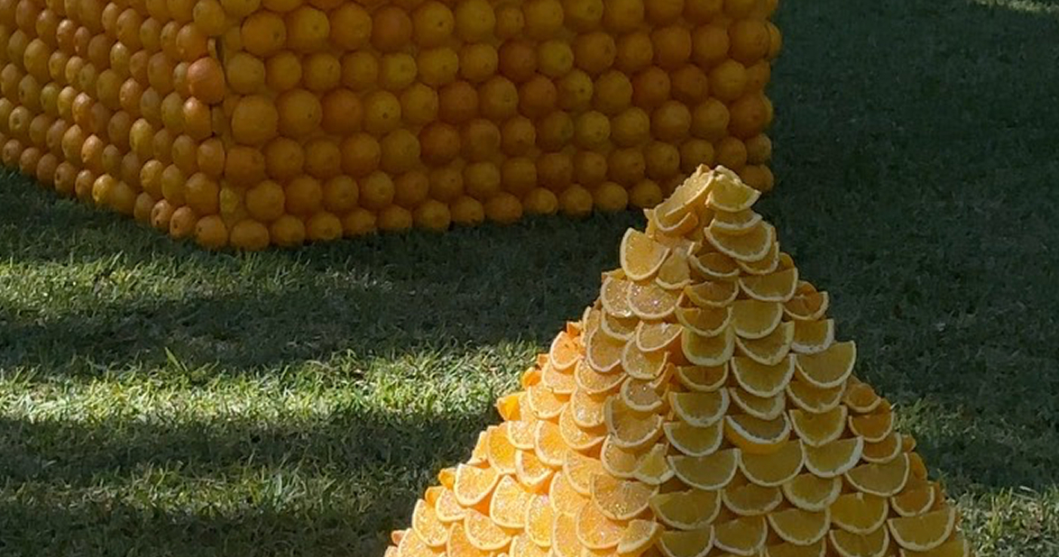 Trend: Geometric Floral Arrangements