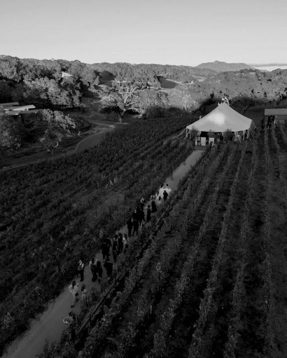 10 Best Vineyard Venues in the US