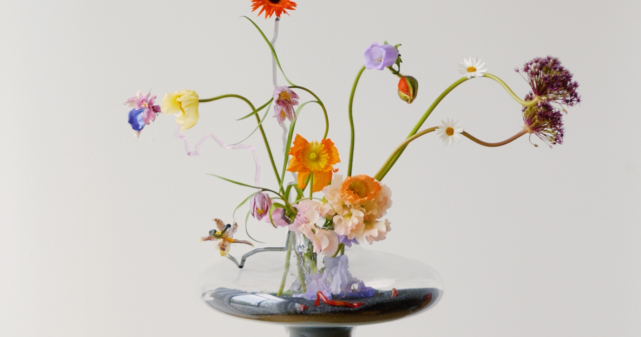 In Conversation: Carolina Spencer
