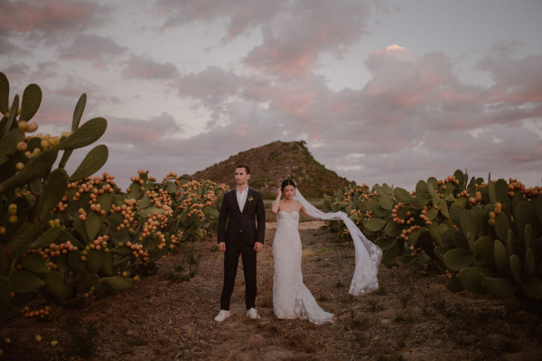 7 Best Wedding Venues in Cape Town | Luxury Glass Venues in South Africa, Western Cape | Unique, Outdoor