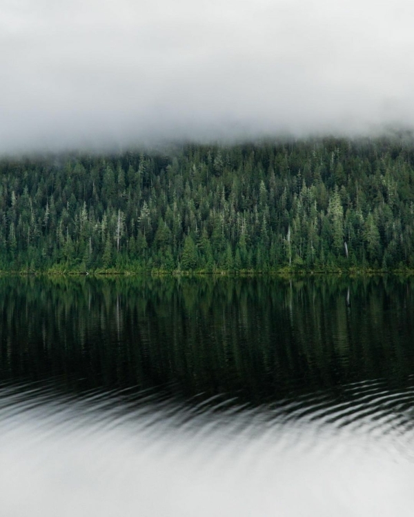 Photography Inspiration Websites | Best Photography Portfolio | Creative Inspiration Websites