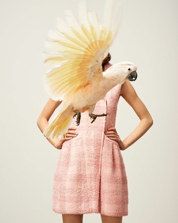 Photography Inspiration Websites | Best Photography Portfolio | Creative Inspiration Websites