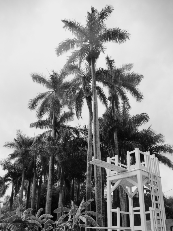 Photographers Taylor English