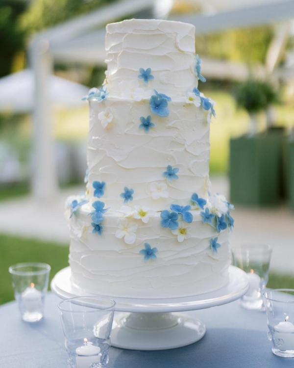 Planners Laurie Arons