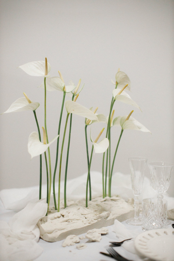 Photographers Atmosphere Fotografia