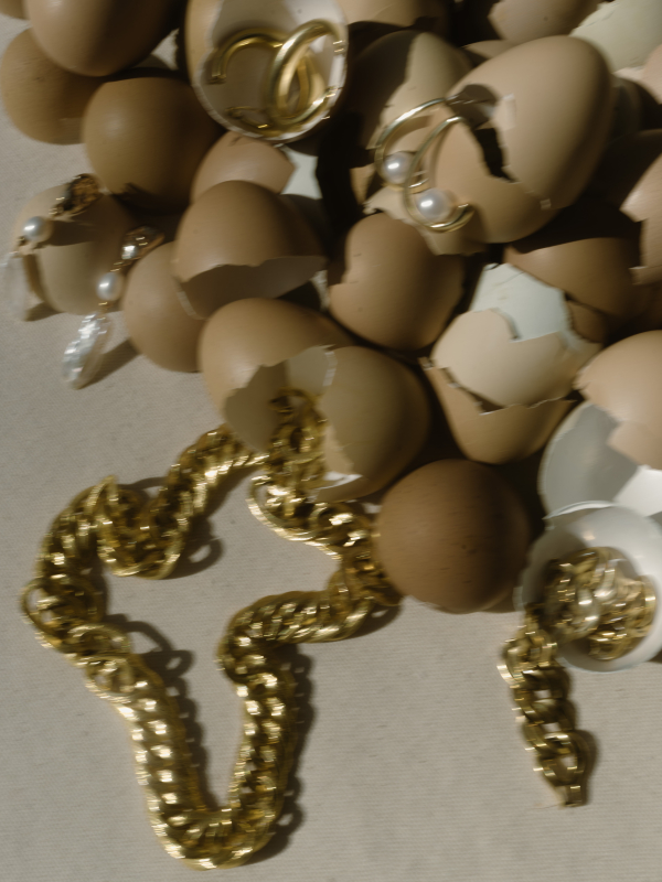 Photographers Taylor English