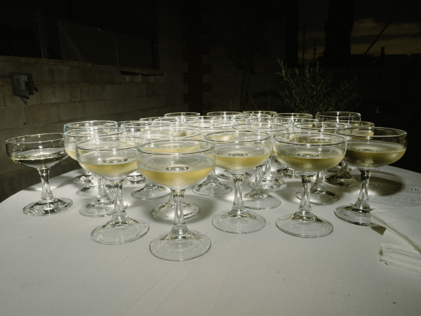 Photographers Taylor English