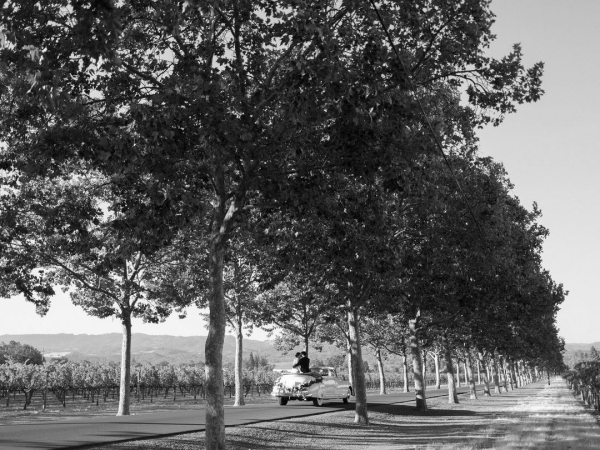 Planners Laurie Arons