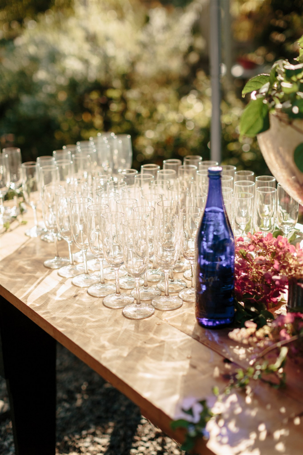 Photographers The Light + Color