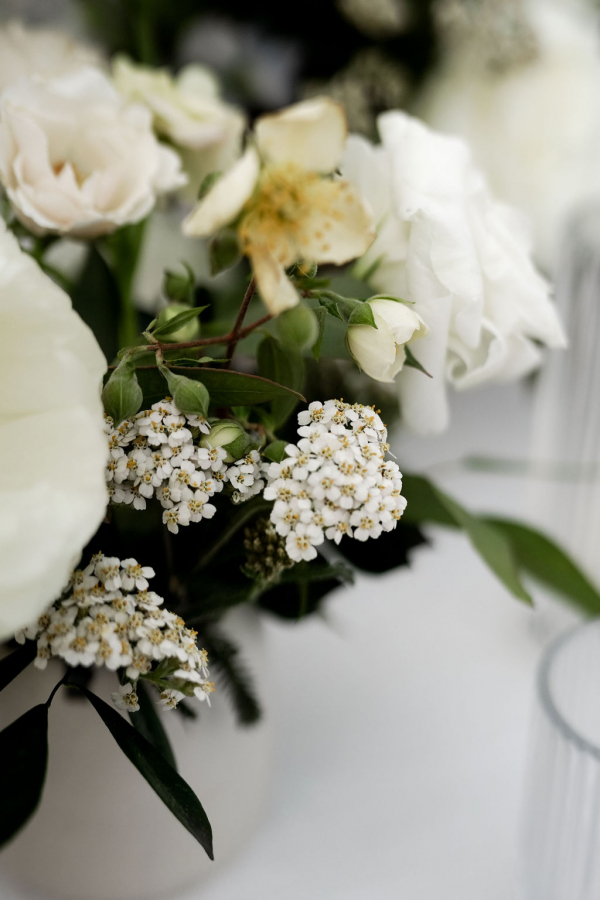 Photographers Vanessa Mathieu Pineda