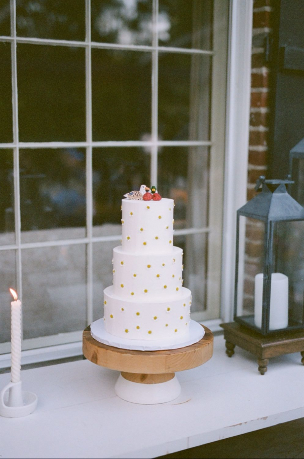 Photographers The Light + Color