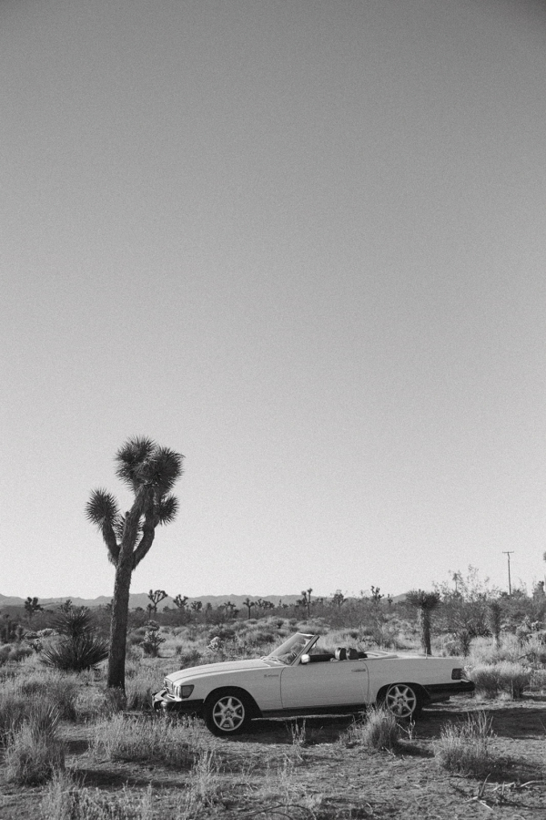 Photographers Cassidy O Photos