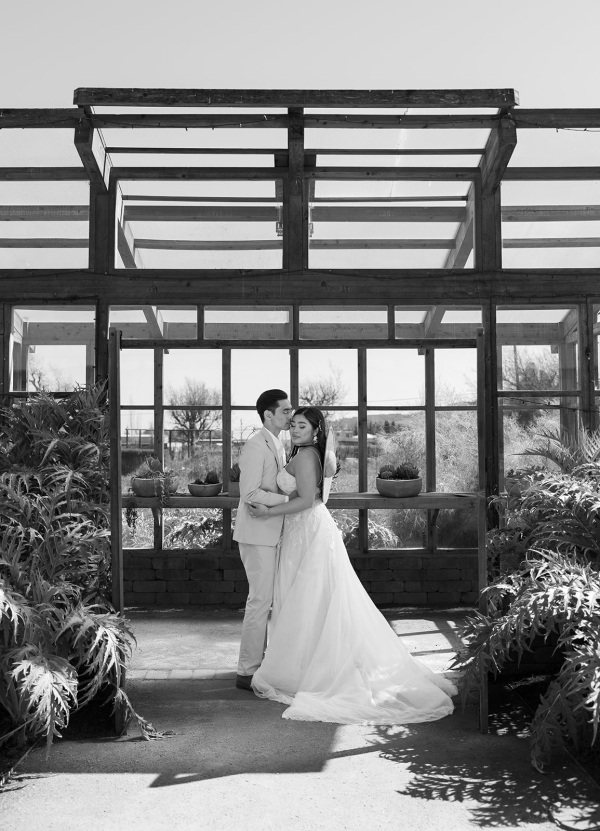 Photographers Bee Photos