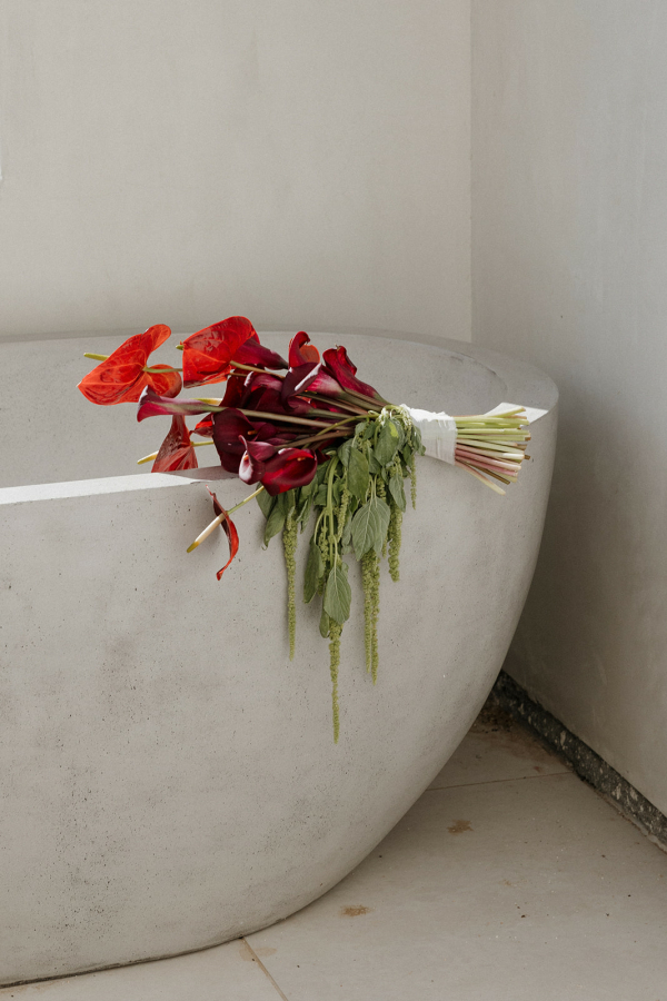 Photographers Cassidy O Photos