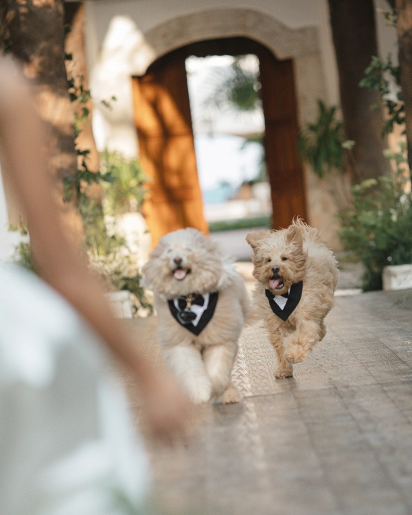 The Call Her Daddy Podcast Host's Riviera Maya Wedding