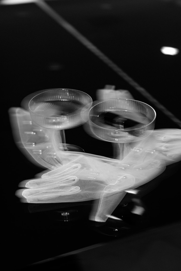 Photographers Honeyscout Photography