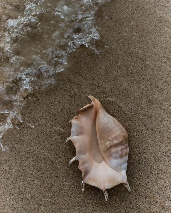 Best Romantic Islands For Couples | Top Honey Moon Destinations