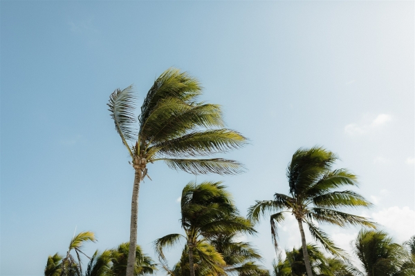 Photographers Sarah Kempers Photography