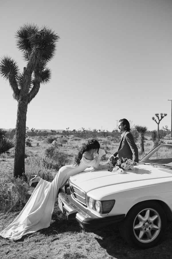 Photographers Cassidy O Photos