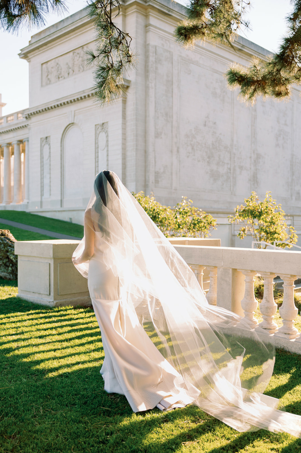 Photographers Bee Photos