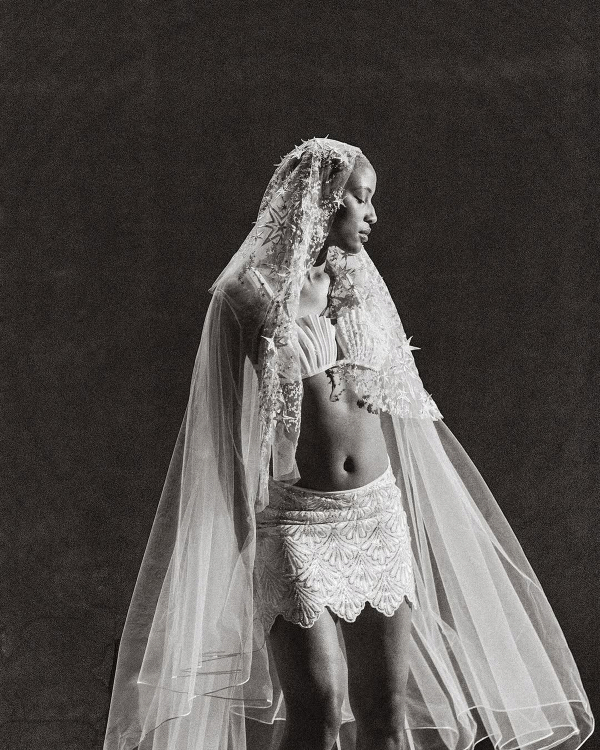 The Best Bridal Hairstyles to Wear with a Veil