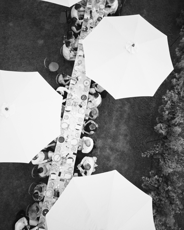 Everything You Need to Know About Drone Wedding Photography