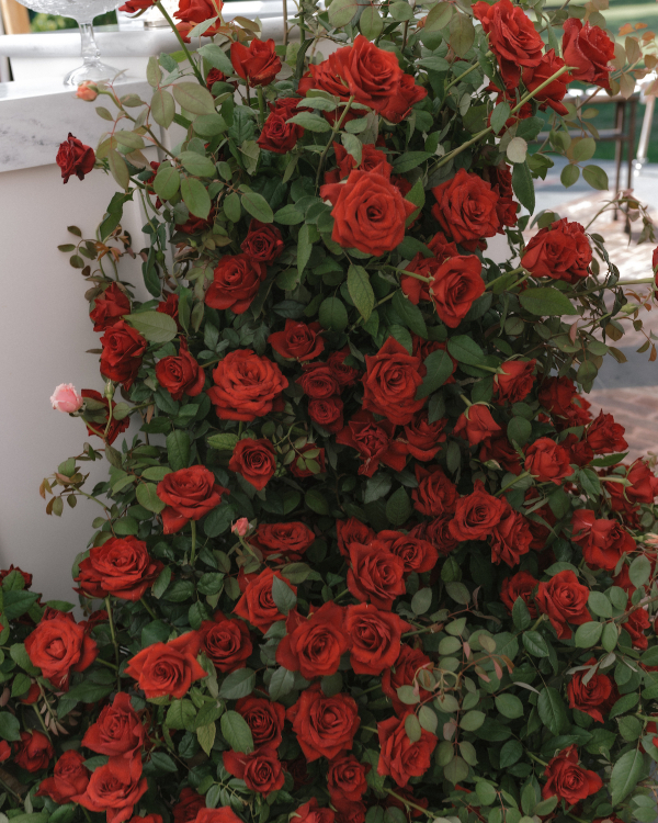 A Romantic Garden Affair in the Australian Countryside