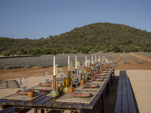 Venues The Lodge Mallorca