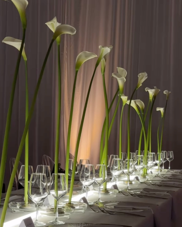 50 Unique Calla Lily Decor Ideas for Every Wedding Style