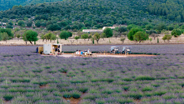 Venues The Lodge Mallorca