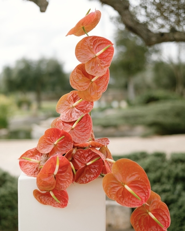 The Top Summer Wedding Floral Color Trends for 2025