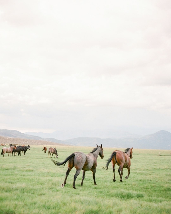 Photographers KT Merry