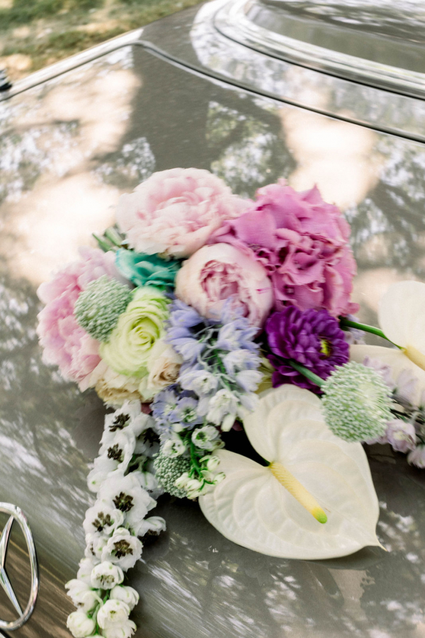 Photographers By Mel Photography