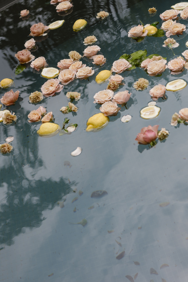 Photographers Agnes Black