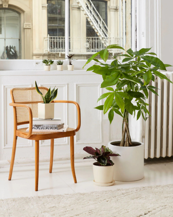 Wedding Gift Ideas for Couples | Marriage Gifts | Newlywed Presents