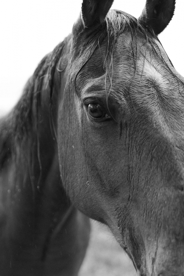 Photographers Alyssa Vanzo