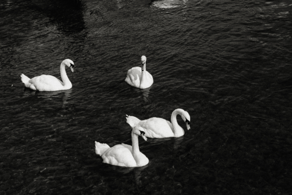 Photographers Agnes Black