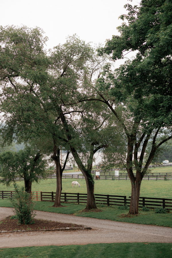 Photographers Alyssa Vanzo